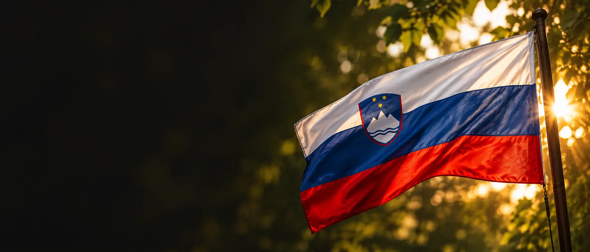 Vse najboljše, Slovenija!